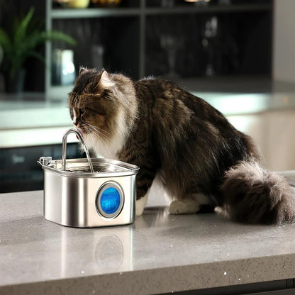 Stainless Steel Cat Fountain