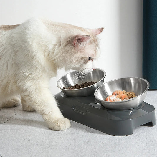 The Healthy Pawwz Stainless Steel Feeder